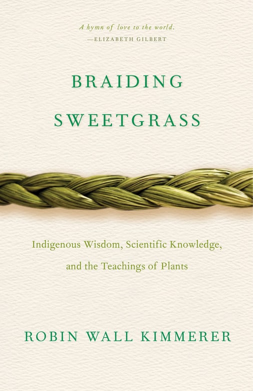 Braiding Sweetgrass Cover