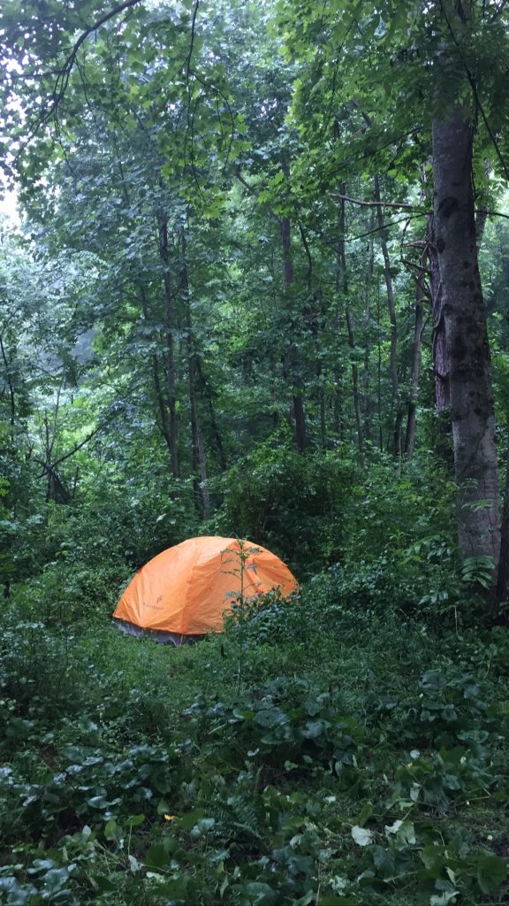Solitary orange tent in forest at the firefly gathering