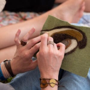 wool needle felting by hand