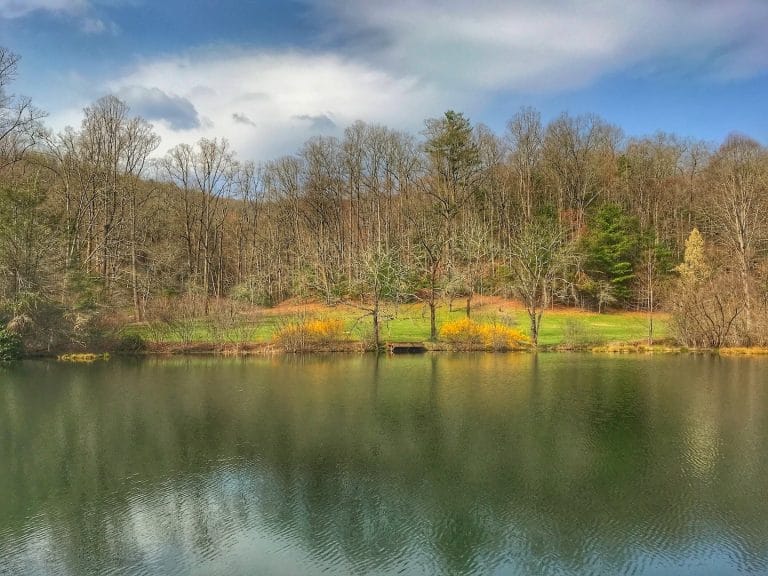 Deerfields Mills River NC