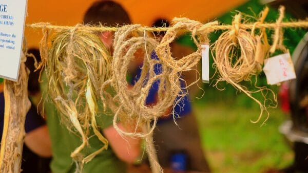 Cordage: Everything You Always Wanted to Know About Fibers and Ropemaking 3 PW22 Cordage