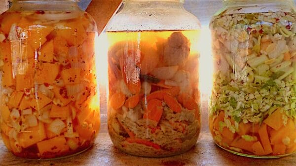Preserving the Harvest: Four Basic Vegetable Ferments with Marissa Percoco 5 freshly harvested vegetables fermeting brightly in a gallon jars