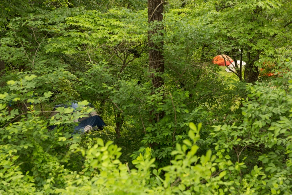 0229-Firefly Gathering 2022-©SarahTewPhotography
