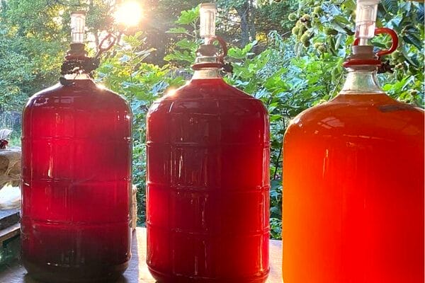 WP Home Brew 1