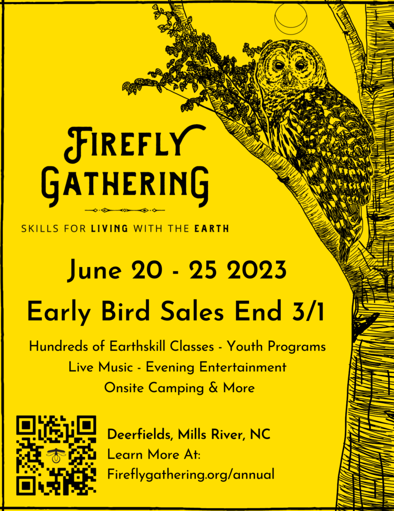 Owl illustration by Lily Harlin for Firefly Gathering 2023