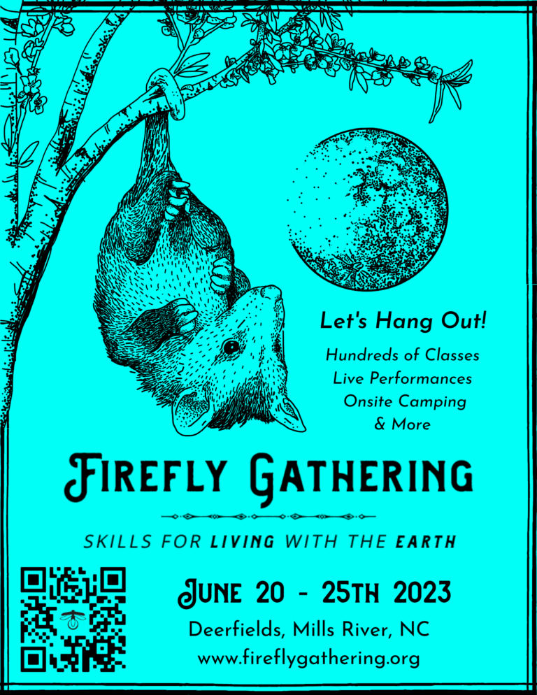 Possum illustration by Lily Harlin for Firefly Gathering 2023