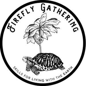 Firefly Sticker with Lily Harlin illustration