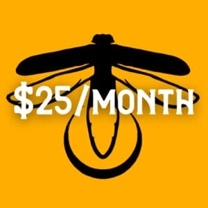 $25/month