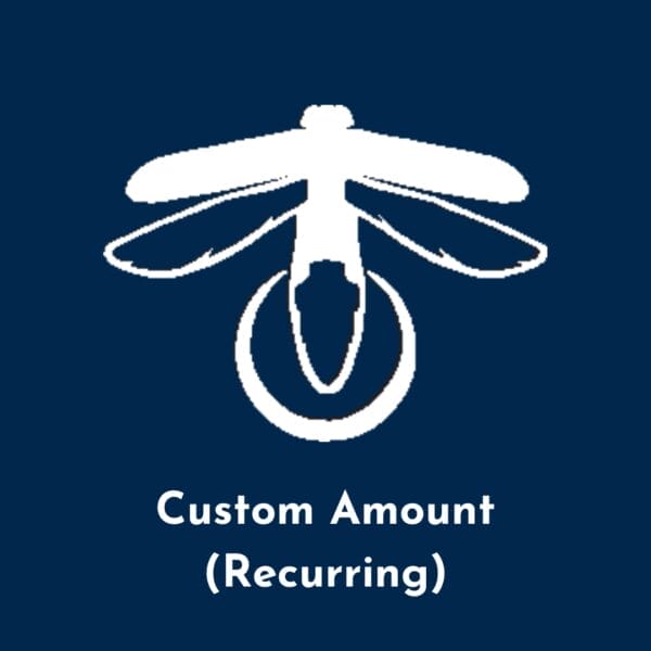 Custom Donation (Recurring)