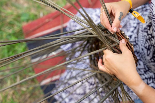 willow basketry