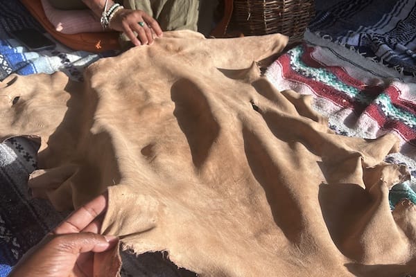 buckskin hide tanning