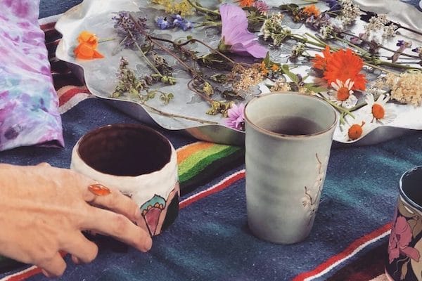 Winter Botany & Wild Foraged Tea w/ Marc Williams 3 Winter Botany foraged teas