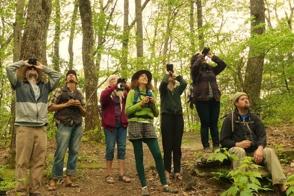 Introduction to Birds & Bird Language w/ Luke Cannon 1 bird watching