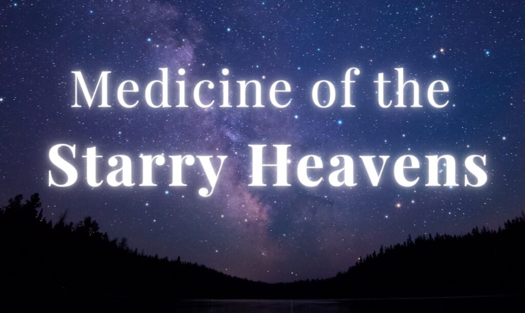 Annual 44 Medicine of the Starry Heavens logo